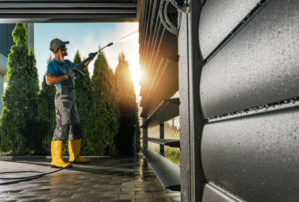 Best Solar Panel Cleaning  in Cologne, NJ